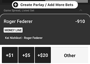 DraftKings Mobile Bet Slip